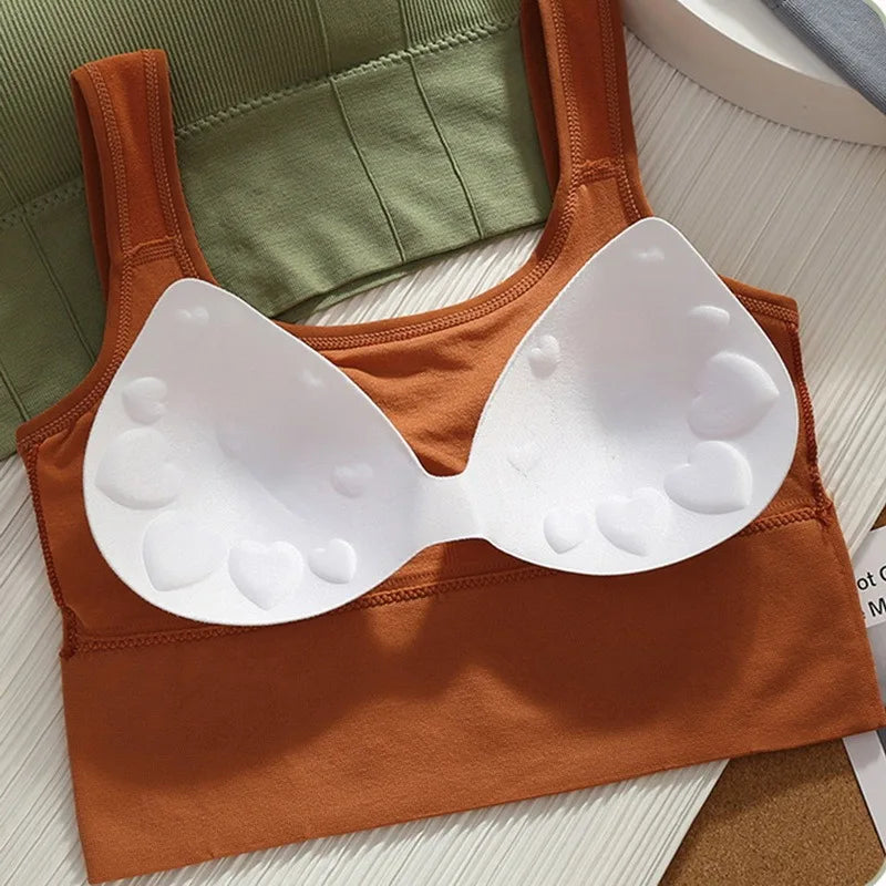 Seamless Sports Crop Top Breathable and Supportive for Every Workout - NEOFORMA APPAREL